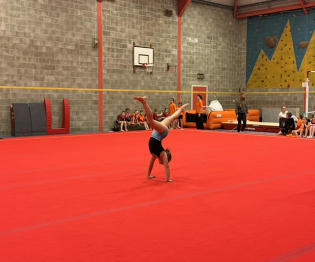 'Huge joint effort’ secures Games ready gymnastics equipment