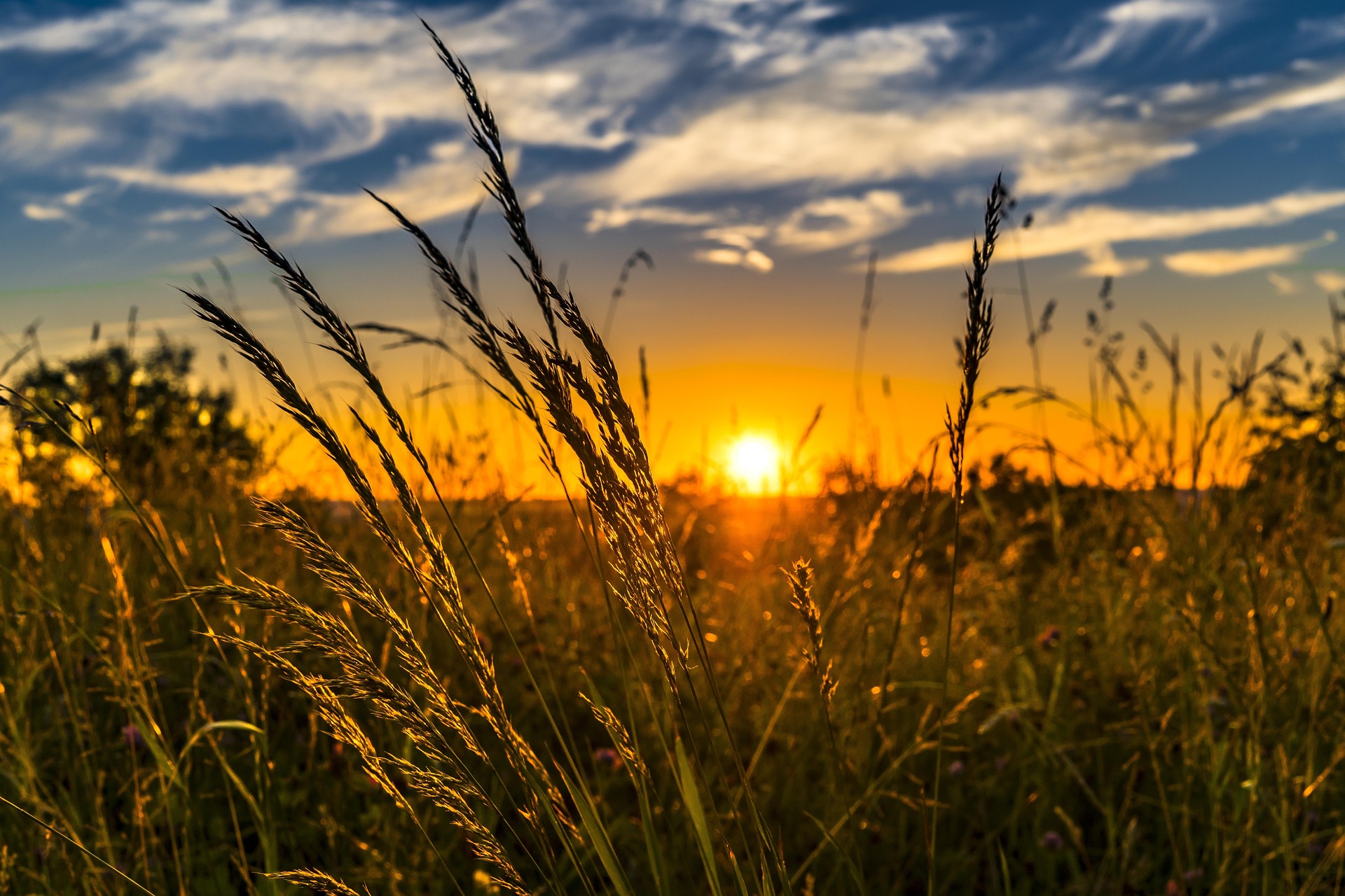 Report published on ‘Greening’ rules 