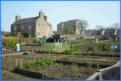 Allotment
