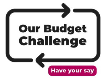 Our Budget Challenge - Survey Results 