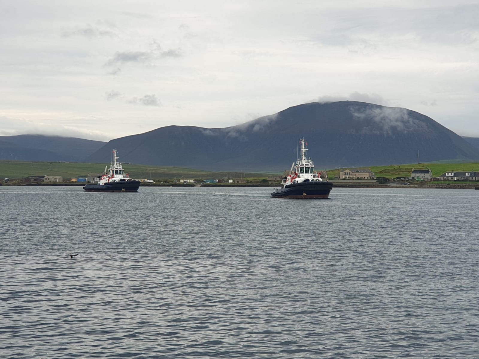 Tenders sought for consultants to oversee design and build of third new tug