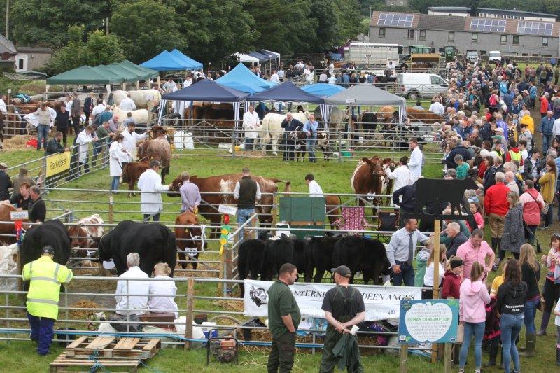 St Rognvalds to hold “Peedie County Show Day”