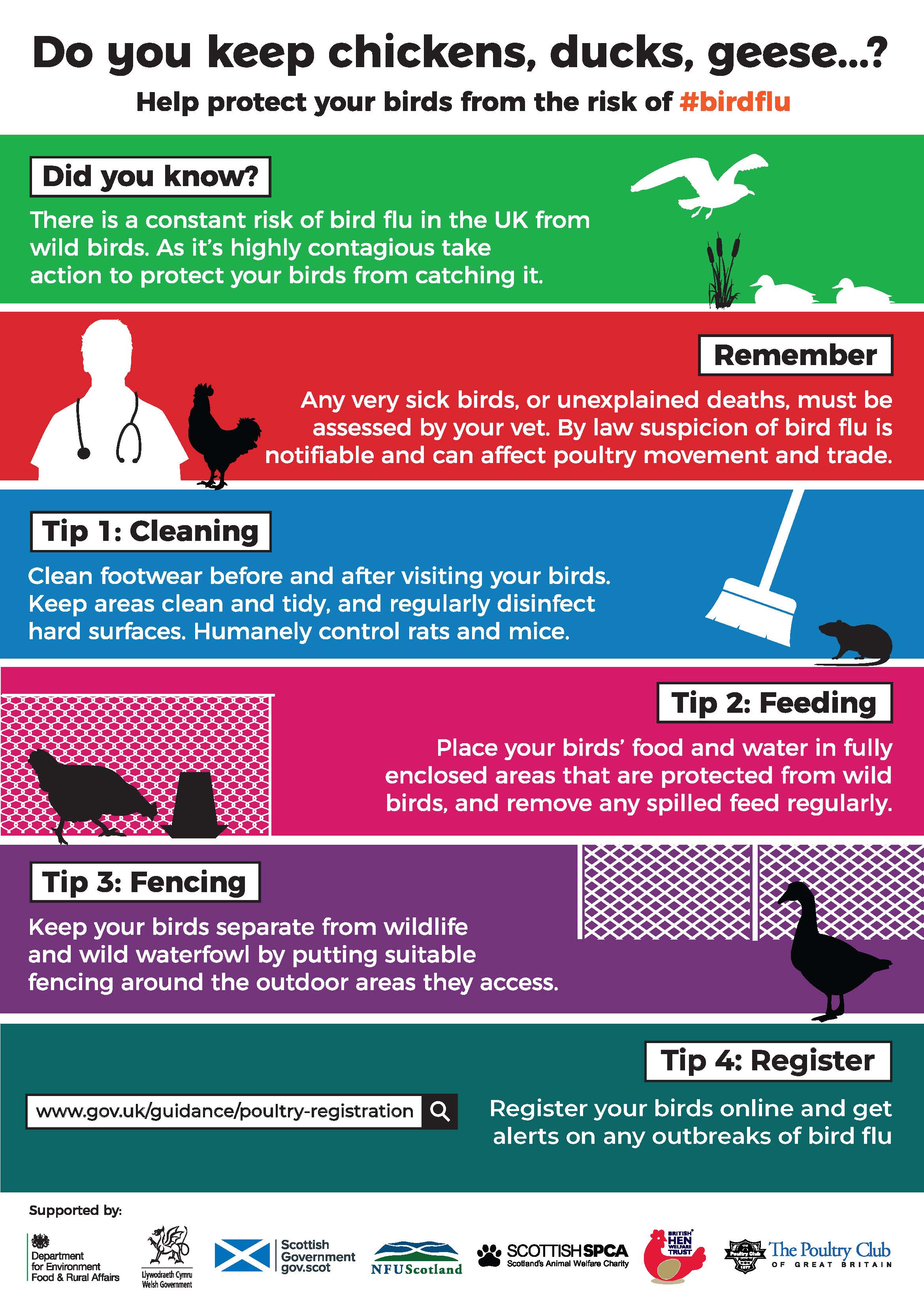 Avian flu reminder to all poultry keepers