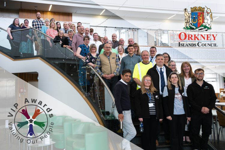 Shared passion for community the star of Council VIP Awards