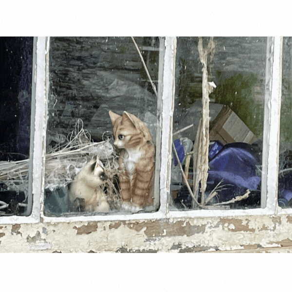 Orkney pupil wins national My Place photography competition